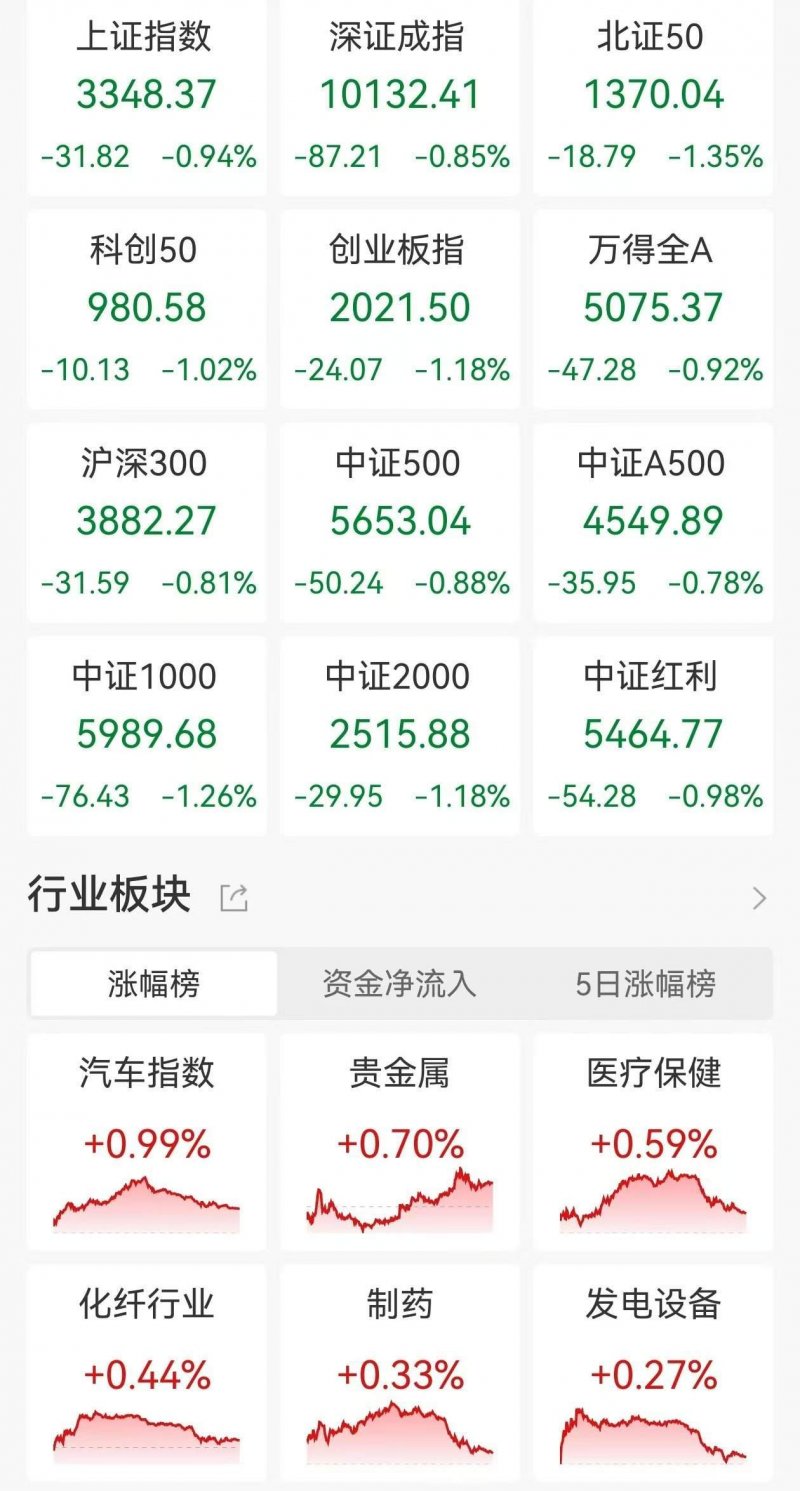 阿联酋在金砖政府会议上重申对全球资源转型的承诺